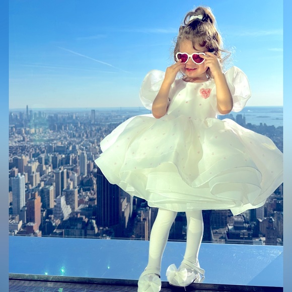 Toddlers Dress for Birthday Party or any other party - Picture 7 of 11